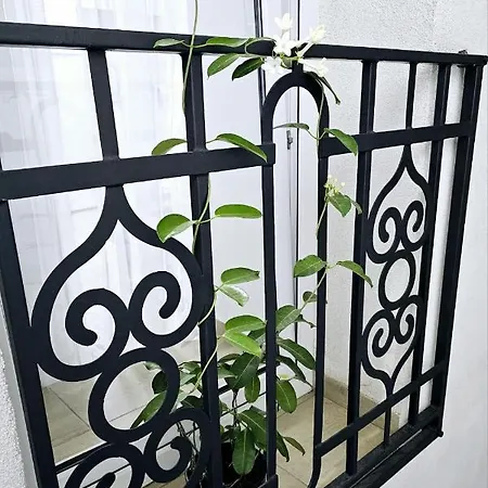 Lovely New Balcony Cismigiu Park - Pop5 Apartment *